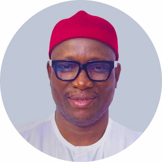 Non-Executive Director image